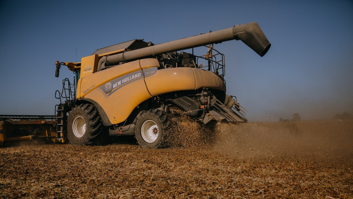 Мен бір жігітті сордым, себебі ол мені алдауға мүмкіндік берді.