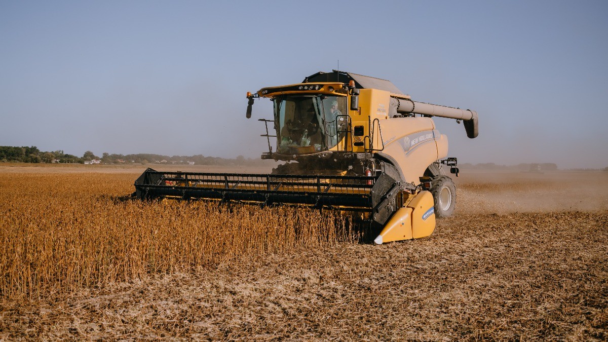 Playboy ойынындағы жалаңаш аққұбалар